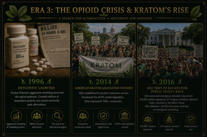 The Opioid Crisis